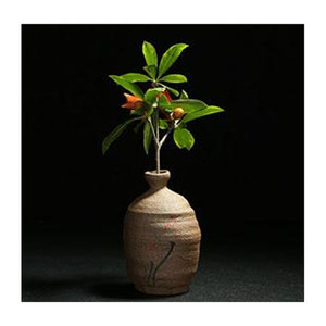 ceramic vase 12
